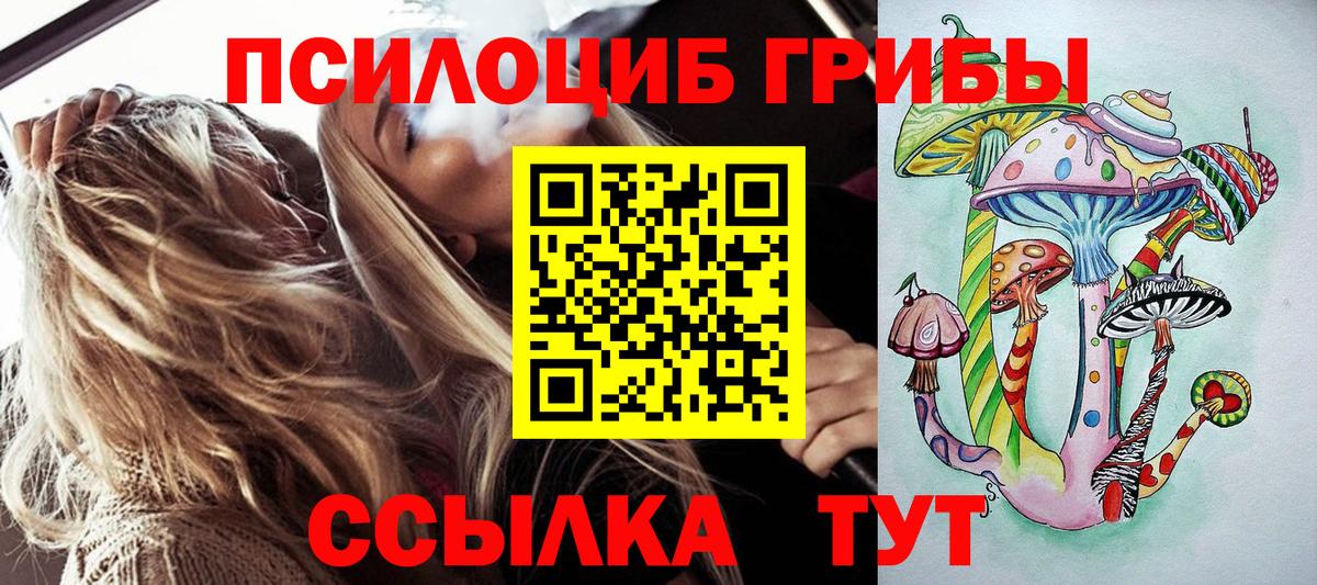 Псилоцибиновые грибы Cubensis Луга